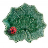 Folha Cinerária com Joaninha 14cm