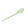 Colheres Verde Flúor Transparente 12,5cm