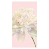 Guardanapos Duchess Peonies