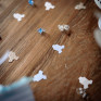 Confetis Baby body Azul