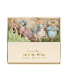 Toppers Peter Rabbit
