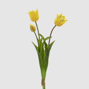 Tulipa Borracha Amarela 48cm