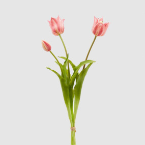 Tulipa Borracha Rosa 48cm