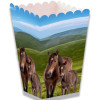Pacotes Pipocas Cavalos conj. 12