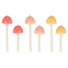 VELAS Cogumelos
