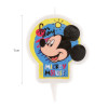 Vela Mickey