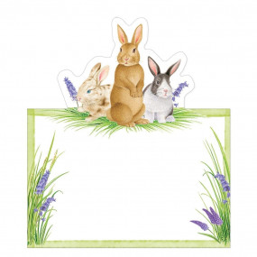 Cartões Marcadores Bunnies