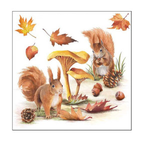 Guardanapos Squirrels go nuts