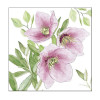 Guardanapos Classic helleborus