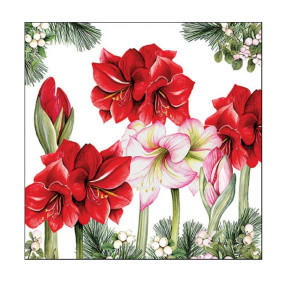 Guardanapos Blooming amaryllis