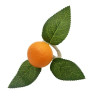 Argola Guardanapo Laranja