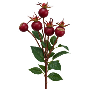 Haste Botões 55cm