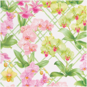 ROLO PAPEL Orchid Conservatory