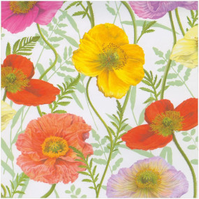 ROLO PAPEL Poppy