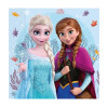 Guardanapos Frozen