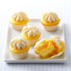 Forma 24 Mini Cupcakes Wilton
