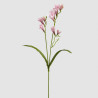 Fresias Rosa  - 65cm