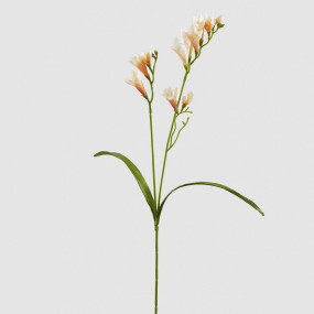 Fresias Salmão  - 65cm