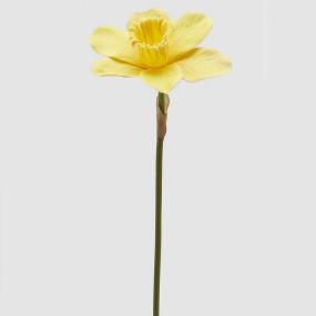 Narciso Amarelo  - 40cm