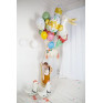 Balão Galinha 60cm
