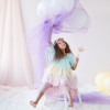 Vestido e Coroa Princesa Meri Meri 3-4 anos