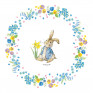 Formas Peter Rabbit - conj. 75