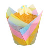Formas Tulipa Riscas Rainbow - conj.24