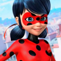 Ladybug