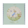 Pratos Peter Rabbit Melamina