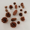 Pinhas decorativas conj.18