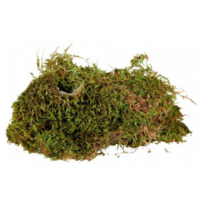 Saco Musgo Natural