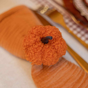 Argola Guardanapo Abóbora Laranja