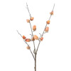 Haste Bolotas 76cm