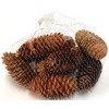 Pinhas decorativas conj.15