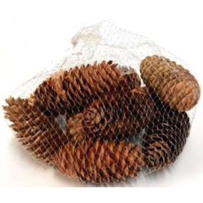 Pinhas decorativas conj.15