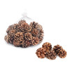 Mini Pinhas 500g