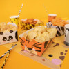 Caixas Snacks Selva
