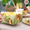 Caixas Snacks Animais do Bosque