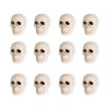 Caveiras Decorativas conj.12