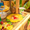 Pratos Flor Havaiana