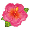 Pratos Flor Havaiana