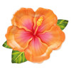 Pratos Flor Havaiana