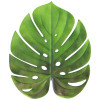 Individual Folha Verde