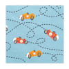 Guardanapos Carros