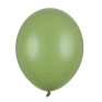 50 Balões Latex Verde Alecrim 23cm