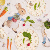 Pratos Travessa Peter Rabbit