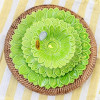 Tacinha Girassol Verde Alface