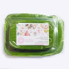 Pasta de Açúcar Verde Folha 250GR