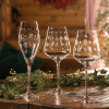 Copos Vinho Tinto Villeroy - Conj.2