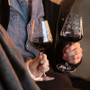 Copos Vinho Tinto Villeroy - Conj.2